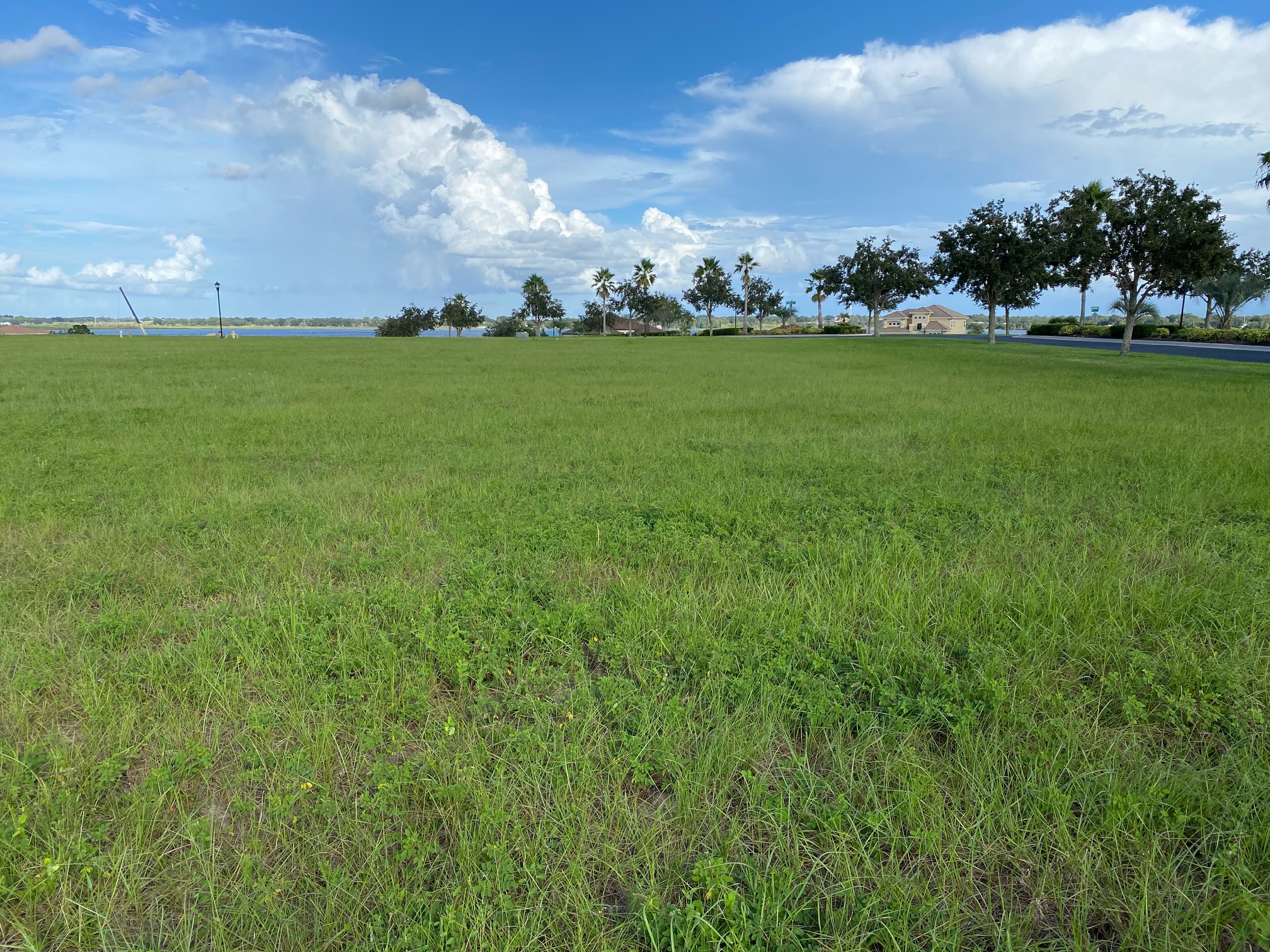 Picture of land for sale